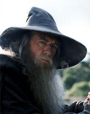 Gandalf the Grey