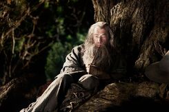 The Hobbit (film series) - Gandalf the Grey