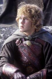 Meriadoc Brandybuck - Przyjaciel Froda, Sama i Pippina