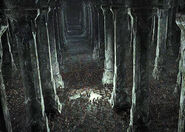 Moria2