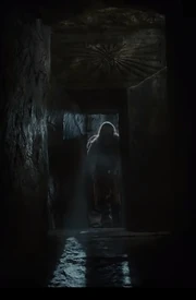 Потайной вход в фильме  «»