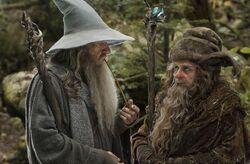 Radagast with fellow Wizard, Gandalf, in The Hobbit films