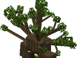 Ent