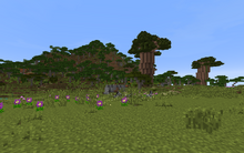SavannahAndBaobabs.png