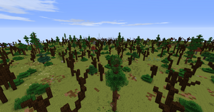 Dead Spruce Forest