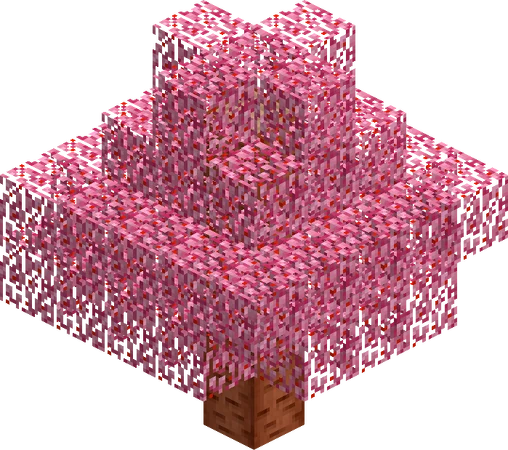 A cherry tree of average height