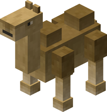 Camel