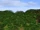 Panorama Far Harad Forest.png