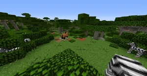 Wildlife in the oak scrubland.