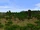 Panorama Far Harad Bushland.png
