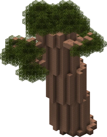 A mighty baobab tree