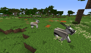 Two White Oryx in the Gulf of Harad, notice their varying colors on their backs.