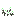 モルグルの花