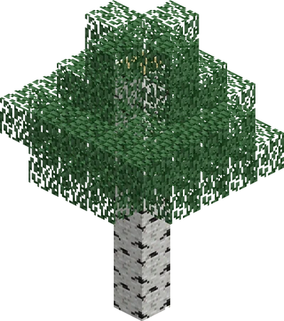 A birch tree of average height