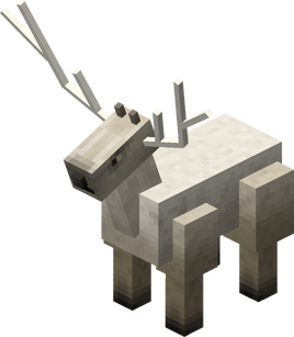 Elk