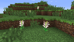 Asphodel Landscape
