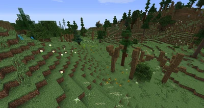 NorthernWilderlandFlowers