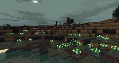 PB29 preview - new flowers in Morgul Vale