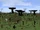 Panorama Fangorn Wasteland.png