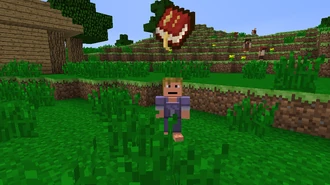 Книга над головой квестодателя