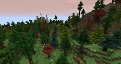 Red Mountains Foothills