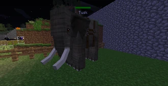 Eleph.png (295 КБ)