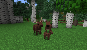 Deer family Aww B27