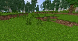 Nettles Shire.png (911 KB) A group of nettles in the Shire.