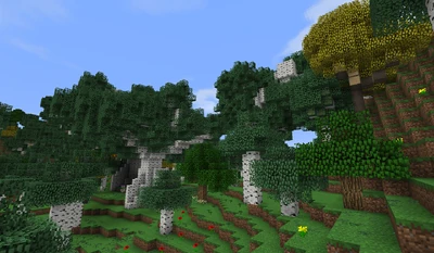 Lindon B27.2 - Tall and Huge Birch - Large Beech