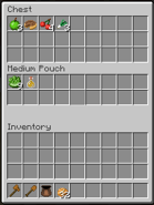 Pouch with chest.png (8キロバイト) A chest opened while holding a medium pouch.