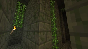 TauredainPyramidFirst26.png (310 KB) A section of the first level.