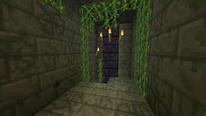 TauredainPyramidFourth26.png (325 KB) A section of the fourth level, stairs going down, notice the dart trap.