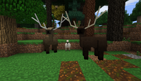 Elk love - Woodland-Realm B28