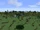 Panorama Ithilien Wasteland.png