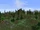 Panorama White Mountains Foothills.png
