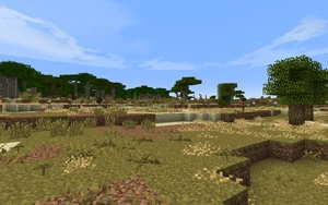 The arid grasslands.