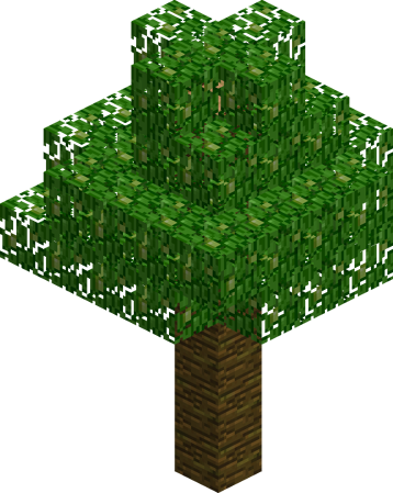 A small jungle tree