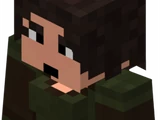 Dúnedain