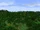 Panorama Gondor Woodlands.png