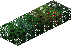 Berry bushes.png