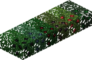 From left: blackberry, blueberry, cranberry, elderberry, raspberry and wildberry bushes, with their bare versions shown behind