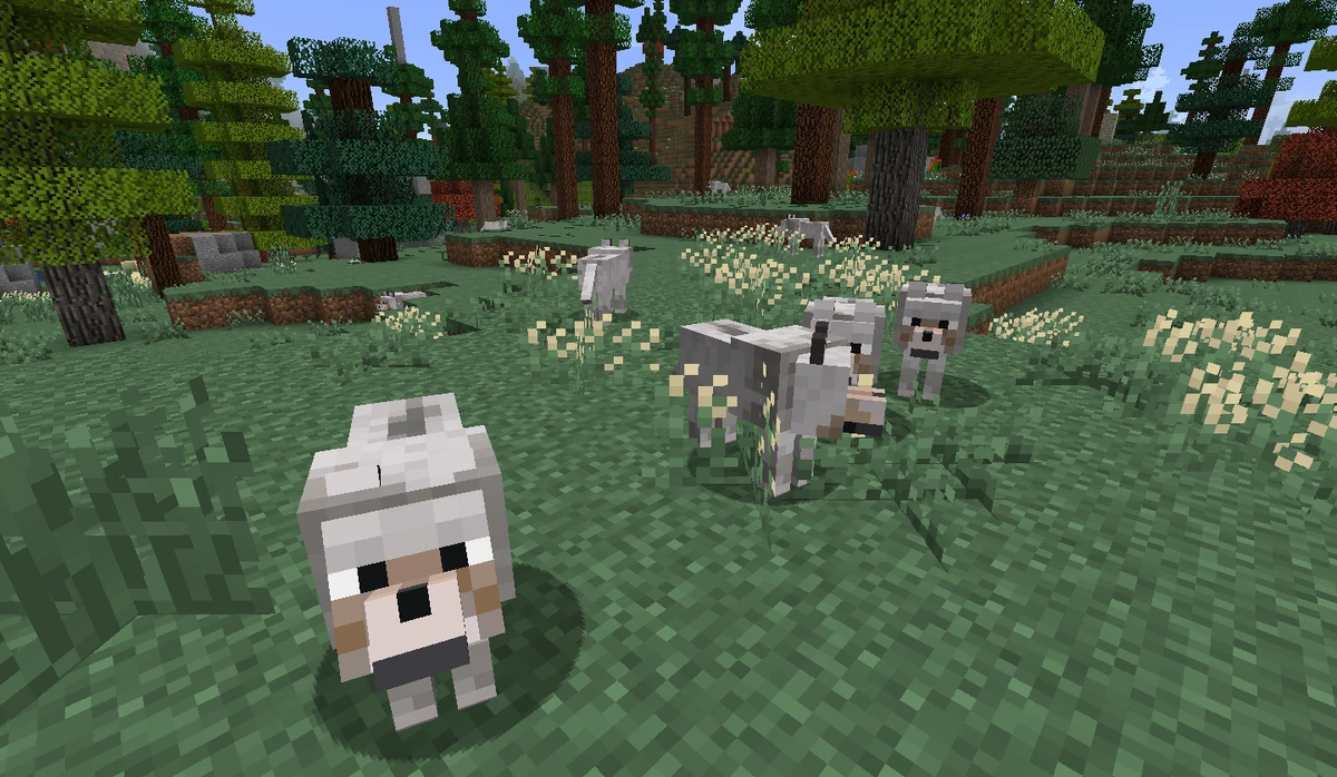 Волк майнкрафт картинки