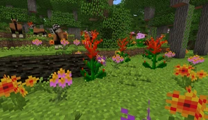 Flowers in the forest.