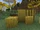 Hay Bale