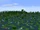 Panorama Shire Marshes.png