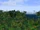Panorama Lindon Woodlands.png
