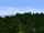 Panorama Southron Forests.png