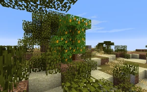 AridMango.png (552 KB) A stunted mango tree.