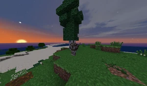 A sunset on an island in the middle of nowhere.