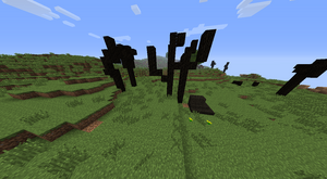 Charred Trees